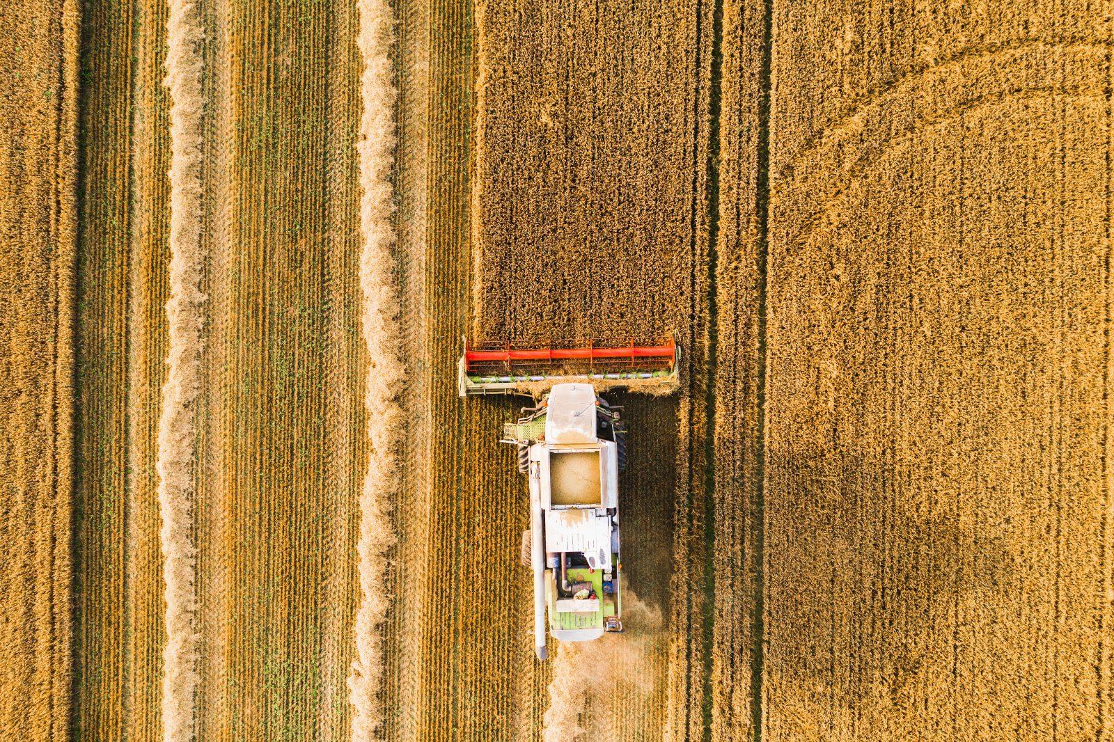 Combine harvester working a field, from above